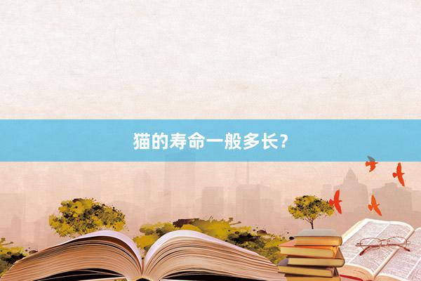 猫的寿命一般多长？