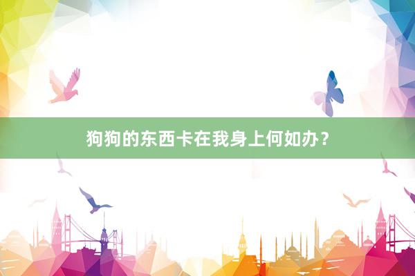 狗狗的东西卡在我身上何如办？